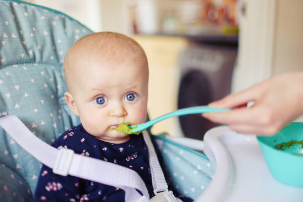 Young mum weaning her rather unsure baby girl with pureed broccoli pulling a variety of expressions as she tastes the broccoli for the first time. stock photo