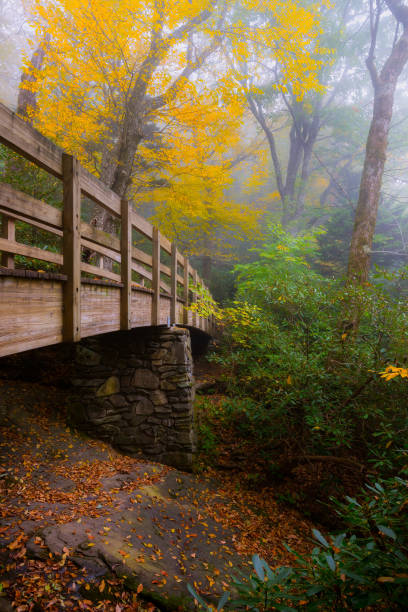 istock Fall colors and scenic footbridge 1395165412
