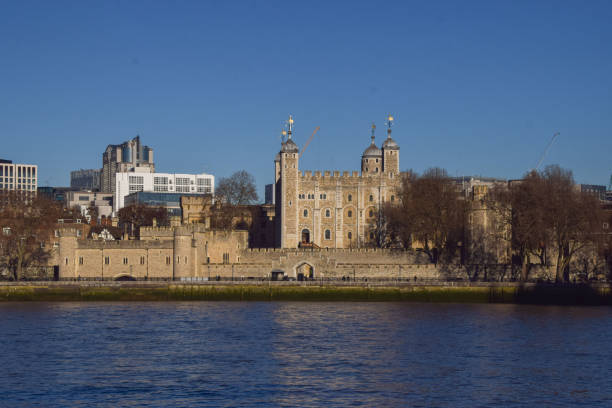 Southbank Boardwalk, London, England, United Kingdom, Europe - November 2nd 2025:  A small group of barges anchored in the River Thames surrounded by autumn-colored trees, with cranes towering above a city construction site in the background.