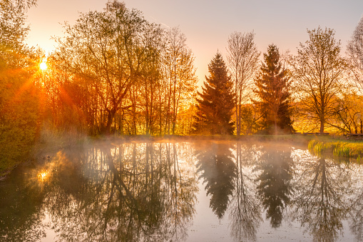 Sunrise over a pond in Bavaria with rising mist