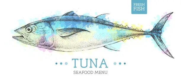 Vector illustration of Realistic Tuna fish vector illustration on artistic watercolor background. Seafood menu design
