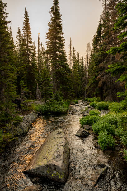 istock Golden Light Reflects Off Boulder Filled Stream 1395168898