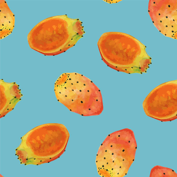 ilustrações de stock, clip art, desenhos animados e ícones de colorful realistic watercolor pear cactus fruit seamless pattern background - prickly pear fruit