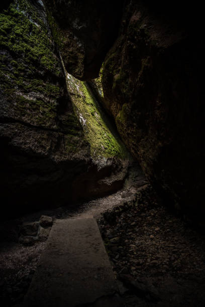 istock Morning Light Hits Mossy Wall On Bear Gulch Cave 1395169526