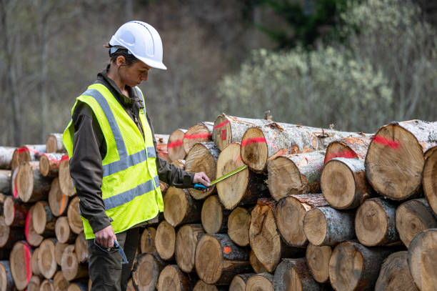 istock Pretty woman working as a forester. 1395170170