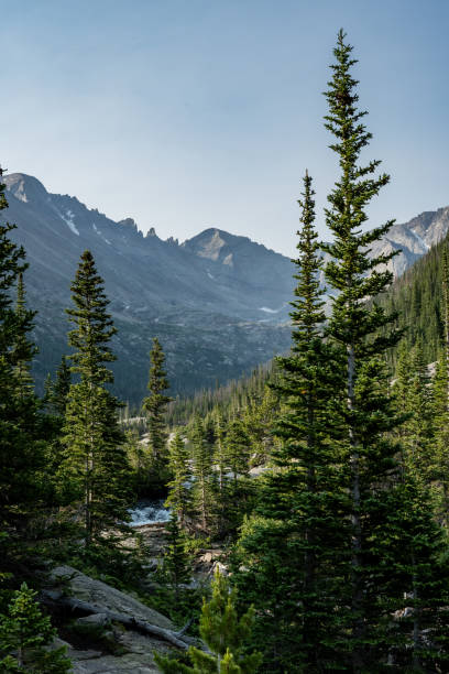 istock Pine Trees Tower Over Mills Lake 1395170253