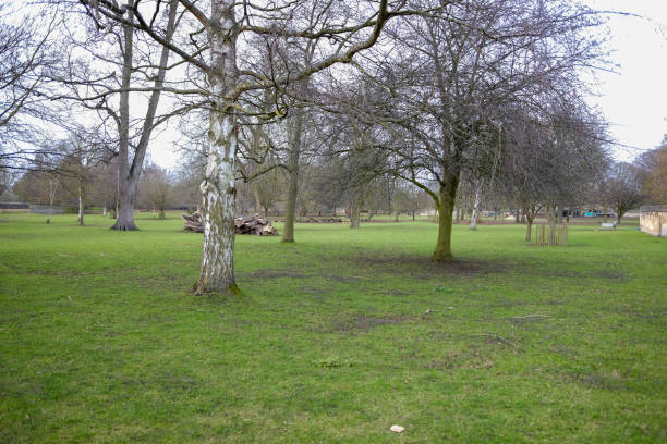 istock A green British park in Oxford city 1395170334