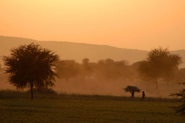istock Sunset in Rajasthan, India 1395170515