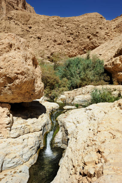 istock Streams and waterfalls Nature Reserve Ein Gedi 1395171312