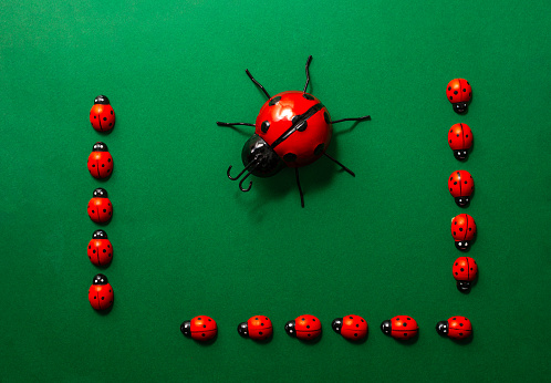 small and large toy ladybirds on a green background ,copy space .