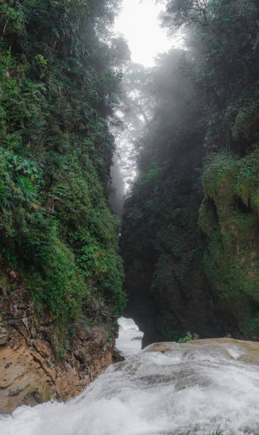 istock Las Nubas waterfall in Chiapas 1395172611
