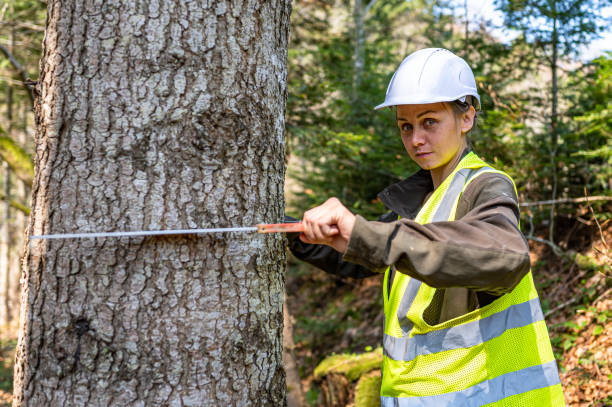 istock Pretty woman working as a forester. 1395172843
