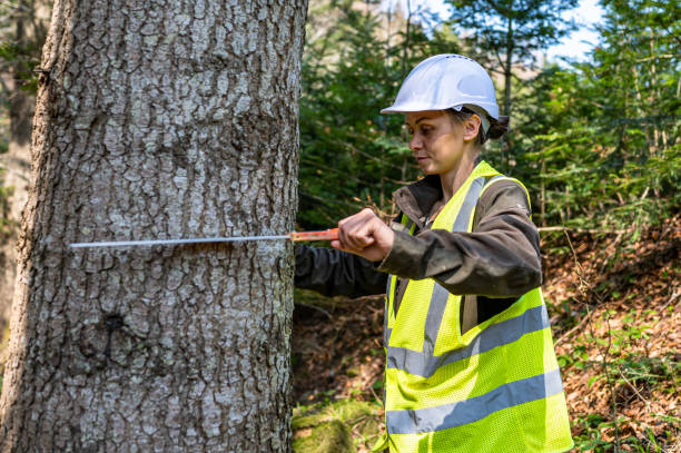 istock Pretty woman working as a forester. 1395172974