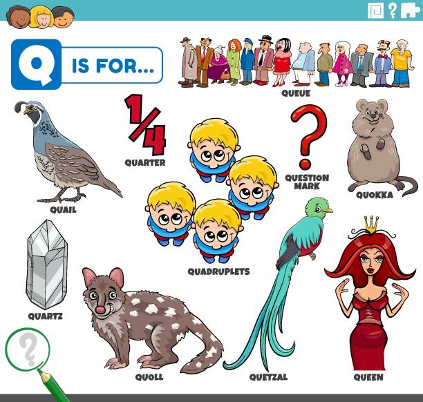 litera q słowa zestaw edukacyjny z postaciami z kreskówek - education learning preschool letter q stock illustrations