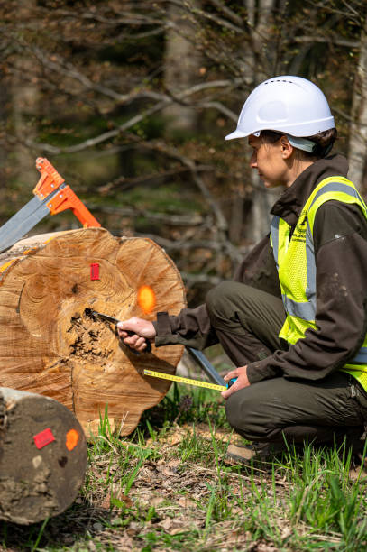 istock Pretty woman working as a forester. 1395174105