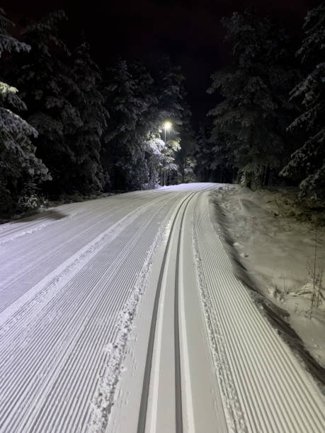 istock Cross country ski track seen at night 1395175047