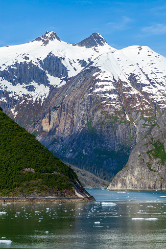 This is the view from our Cruise Ship as we passed between snowcapped mountains, beautiful green forests, and icebergs sliding by us as we sailed under a beautiful blue sky through the Tracy Arm fjord near Juneau, Alaska