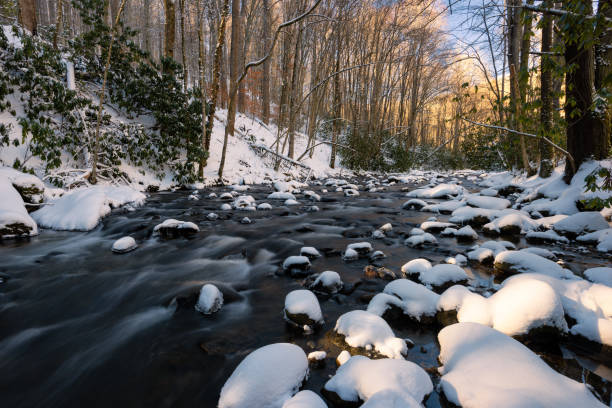 Winter on the Doe River Fresh snowfall covers the ground as the Doe River drains out of  Roan Mountain State Park in Tennessee bare tree snow tree winter stock pictures, royalty-free photos & images