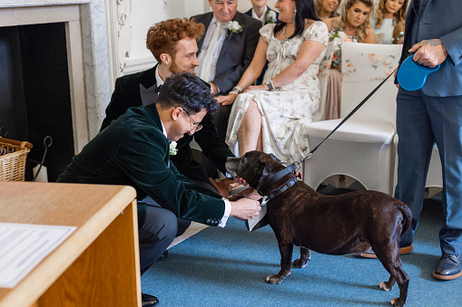 A low angle view of a male couple standing getting married and they have their family pet dog as the ring bearer