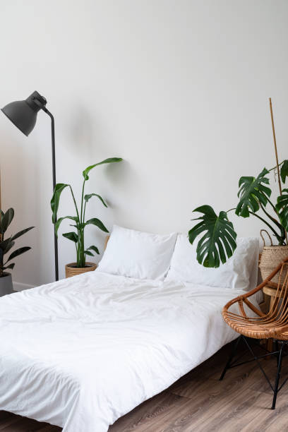 istock Space at home with bed, monstera and laundry baskets 1395179413