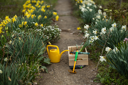 Gardening equipment on the floor in garden outdoors.