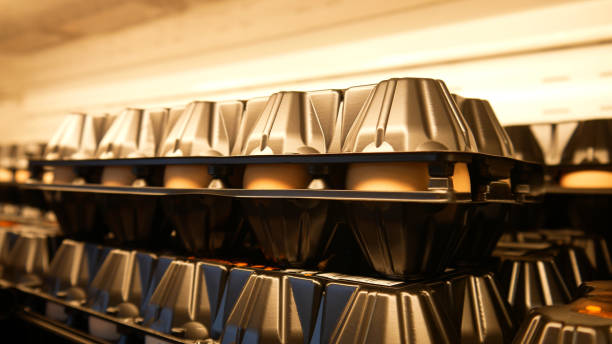 istock Close-up of a black plastic packaging of fresh eggs on a store shelf 1395181785