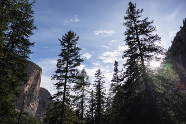 Outdoor iconic landscape on the Dolomites: from Puez park