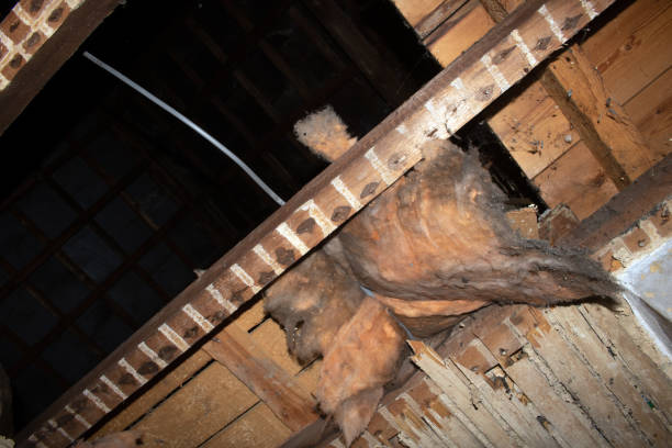 istock House Renovation Stripped Ceiling showing beams and roof 1395185082