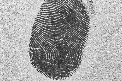 black macro fingerprint,Fingerprint detail,Real fingerprint in white background Super macro