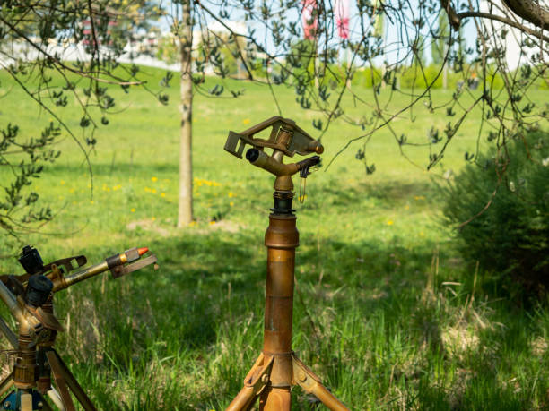 istock Irrigation device in the park. Water sprinkler. 1395185493