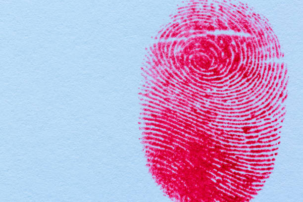 istock Red fingerprint on white paper 1395185598