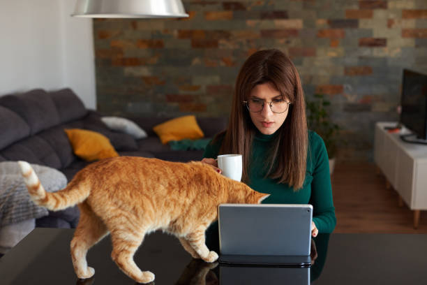 istock Woman in the kitchen using her laptop with her pet cat 1395186338