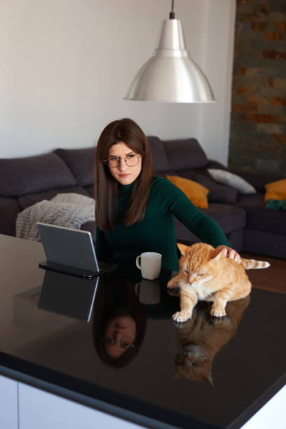 istock Woman in the kitchen using her laptop with her pet cat 1395186429