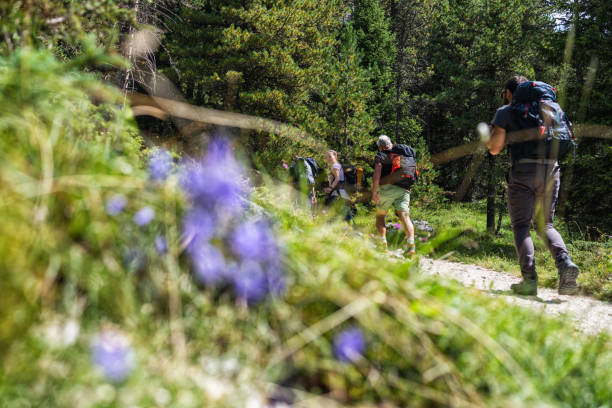 Adventures on the Dolomites: senior grandfather with family mountain hiking Adventures on the Dolomites: senior grandfather with family mountain hiking trentino south tyrol stock pictures, royalty-free photos & images