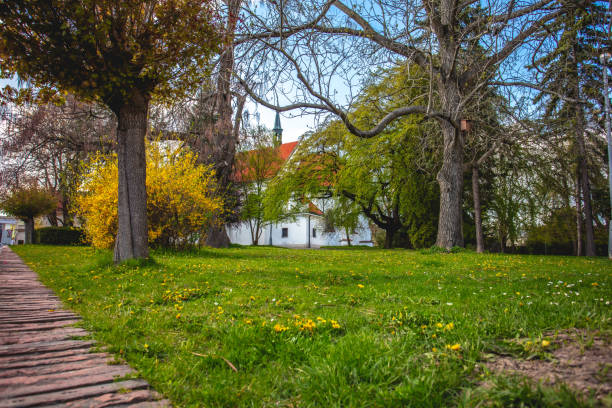 Park in Vysoke Myto in Czech Republic.