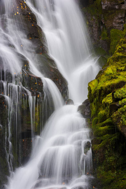 istock Flowing water over moss covered rock 1395186689