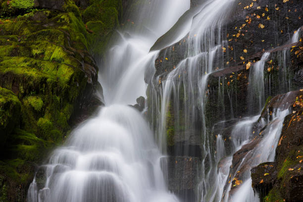 istock Cascading water over lush green rocks 1395186691