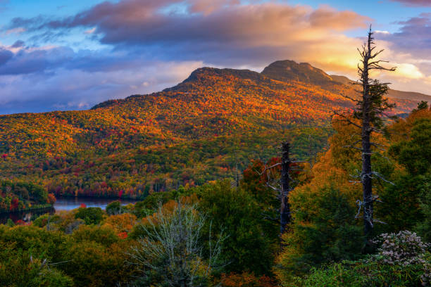 jesienny poranny widok, grandfather mountain, karolina północna - blue ridge mountains blue ridge parkway north carolina mountain zdjęcia i obrazy z banku zdjęć