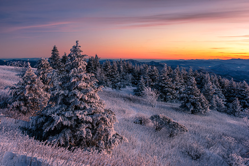 A beautiful evening sky over a wintry landscape with fresh snow covering the landscape from Roan Mountain State Park in Tennessee