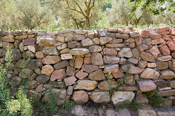 kamienny mur na pola, otoczony drzewami oliwnymi. - cornerstone sign built structure granite zdjęcia i obrazy z banku zdjęć