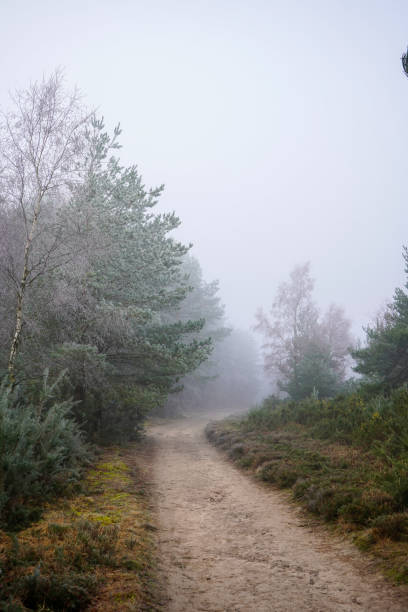 istock Misty footpath in the countryside 1395193416