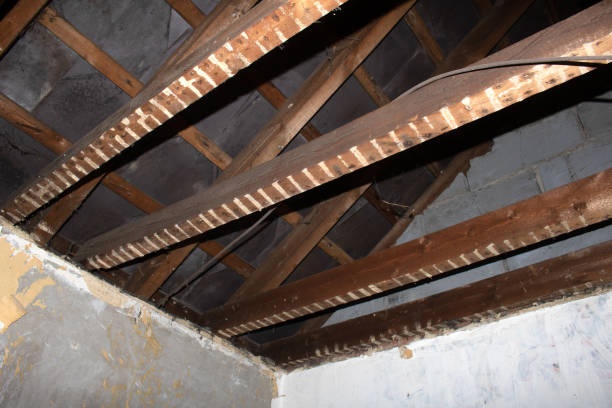 istock House Renovation Stripped Ceiling showing beams and roof 1395193654
