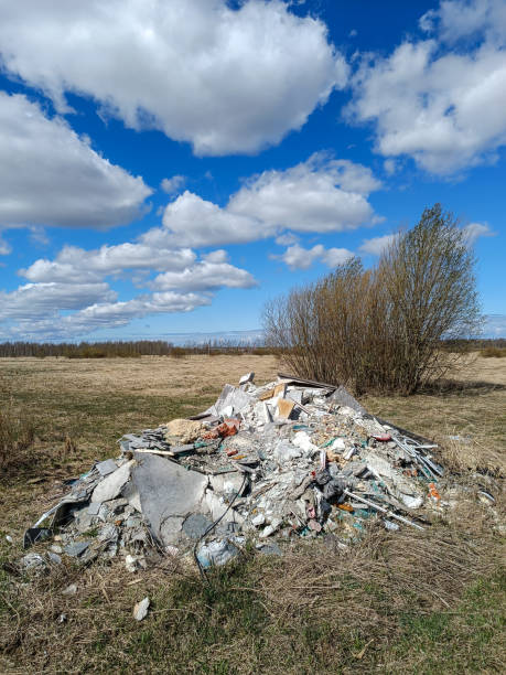 istock Illegal dumping of rubbish on the road 1395196187