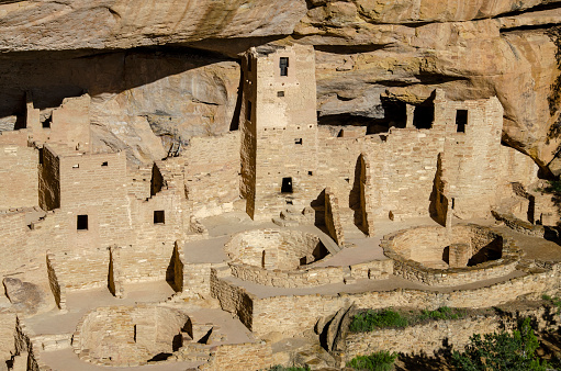 Portion of Cliff Palace cliff dwelling including 4 story square tower and 3 kivas. Mesa Verde National Park, Colorado, USA.