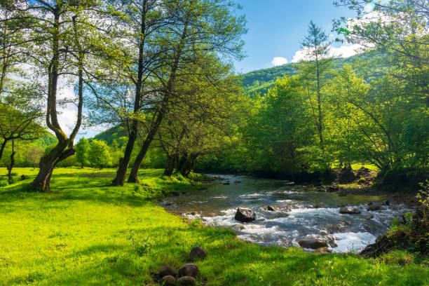 istock spring landscape with river and trees on the shore 1395198006
