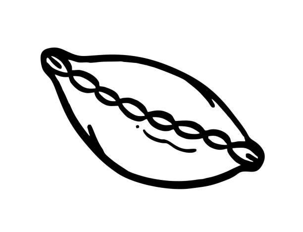 illustrations, cliparts, dessins animés et icônes de un chignon est un élément de boulangerie dessiné à la main esquisse vectorielle de griffonnages. pour les menus de café et de boulangerie - sandwich sketch cartoon line art