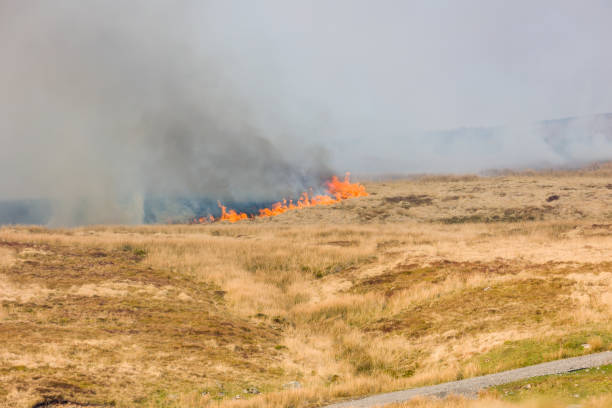 istock Fire fighters dealing with a large grassfire on an upland moors in Wales 1395202155
