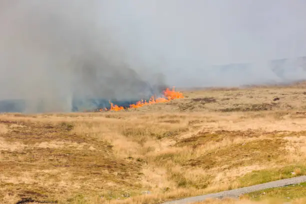 Fire fighters dealing with a large grassfire on an upland moors in Wales.