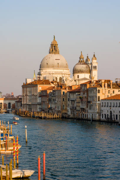 traffico di barche sul canal grande di venezia guardando verso salute dalla zona dell'accademia - venice italy beautiful accademia bridge grand canal foto e immagini stock