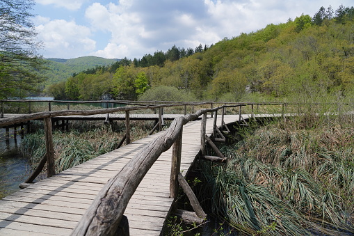Water, Spring, wooden path, fence